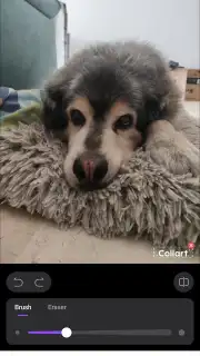 CollartAI capture 6
