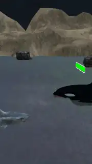 Great White Shark Survival capture 2