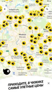 Чижик capture 2