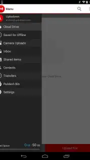 MEGA V2 capture 6