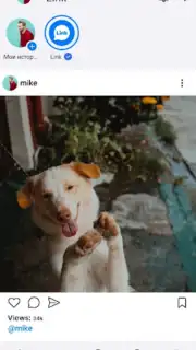 Link Messenger capture 2