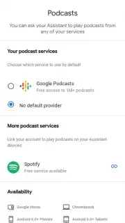Google Home capture 2