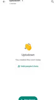 Google Chat capture 6