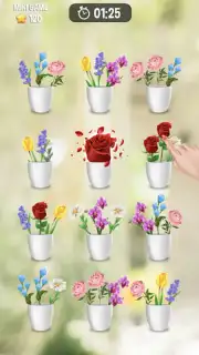 Zen Blossom capture 8