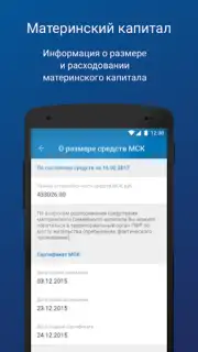 ПФР Электронные сервисы capture 1
