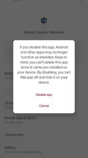 Android System WebView capture 13