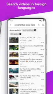 Lingvotube capture 3