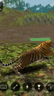 The Tiger capture 12