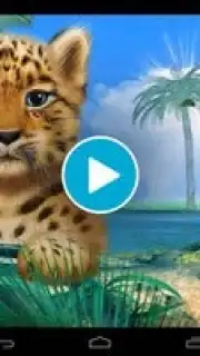 Дикие животные capture 1