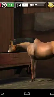 My Horse capture 4