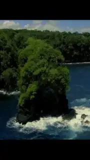 Paris Video Downloader capture 3