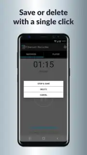 Titanium Recorder capture 6