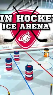 Pin Hockey capture 13