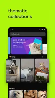 VK Clips capture 13