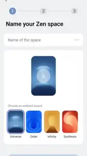 Zen Space capture 3