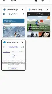 DuckDuckGo Private Browser capture 5