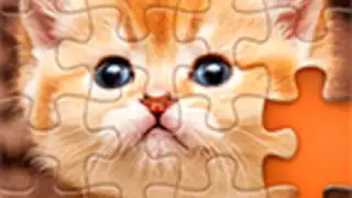 Puzzles without Internet