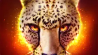 TheCheetah