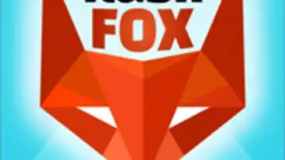 FlashFox - Flash Browser