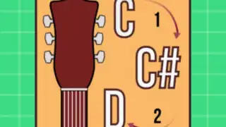 Chords Transposer Free
