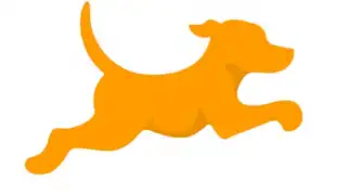 Fetch