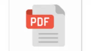Progromatic PDF Reader