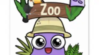Moy Zoo