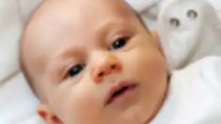 Mi Bebe