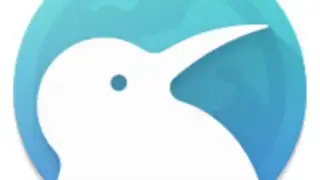 Kiwi Browser