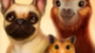 PetHotel - My animal boarding