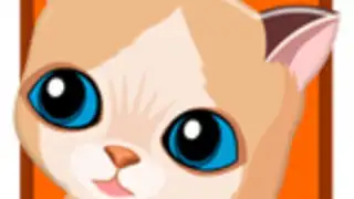 My Sweet Cat