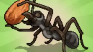 Pocket Ants