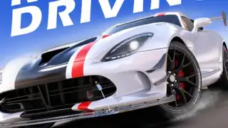 Real Driving 2