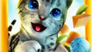 Cat Simulator