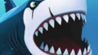My Shark Show
