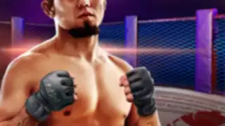 MMA Pankration