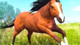 Virtual Horse Family Simulator