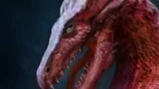 Choice of the Dragon