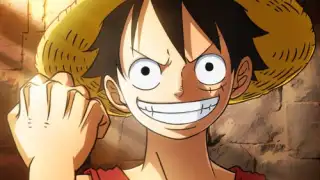 One Piece: Codename Partner