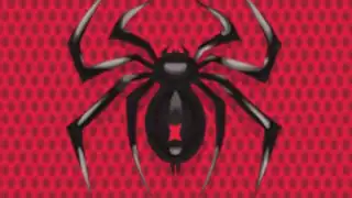 Spider Solitaire
