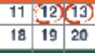 Desi Calendar