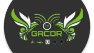 Gacor Fake v2.4