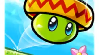 Bean Dreams