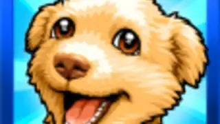 Mini Pets