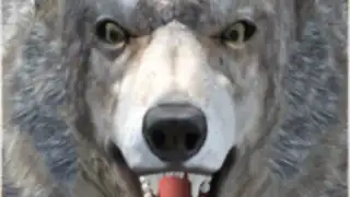 Wild Life: Wolf Clan