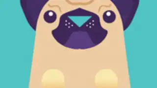 PewDiePug