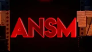 Animatronics Simulator