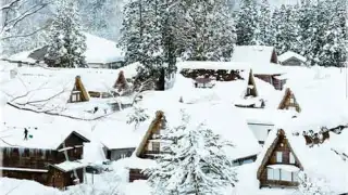 Winter Wallpaper