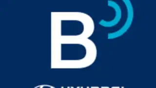 Bluelink