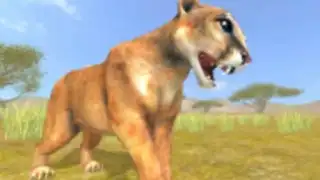 Puma Survival